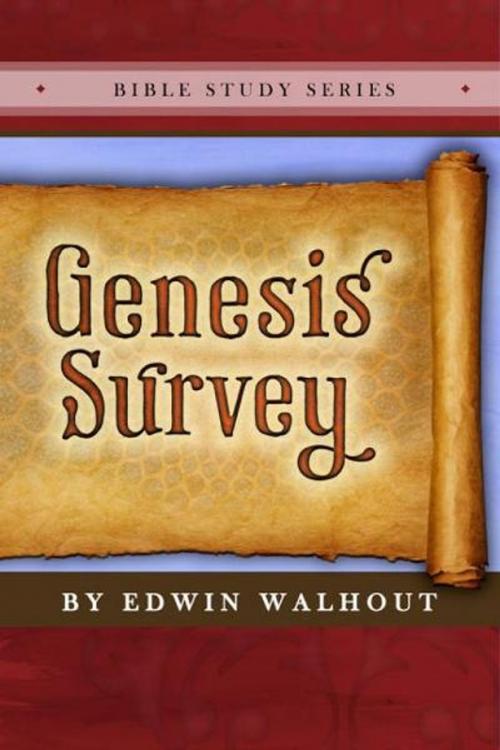 Cover of the book Genesis Survey by Edwin Walhout, Edwin Walhout