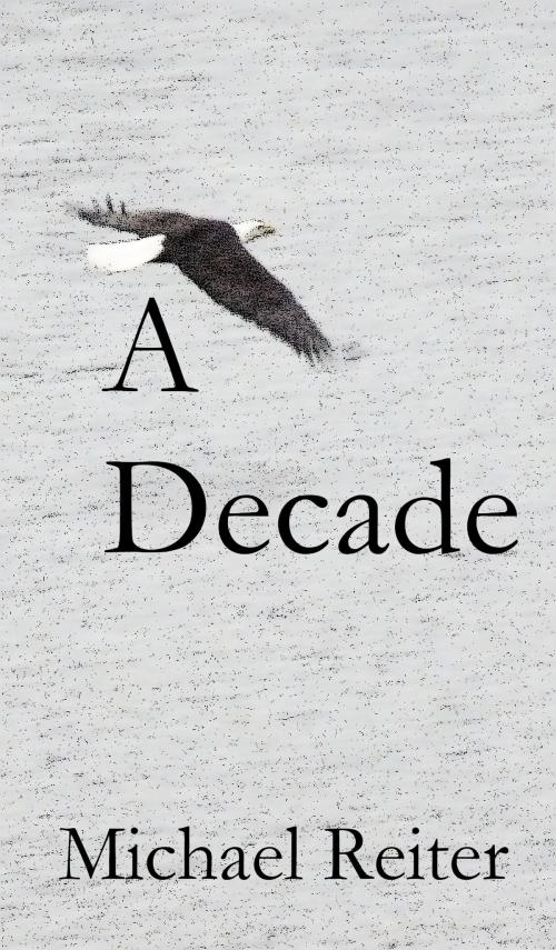 Cover of the book A Decade by Michael Reiter, Michael Reiter