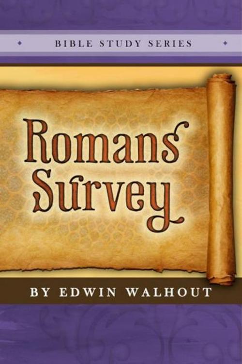Cover of the book Romans Survey by Edwin Walhout, Edwin Walhout