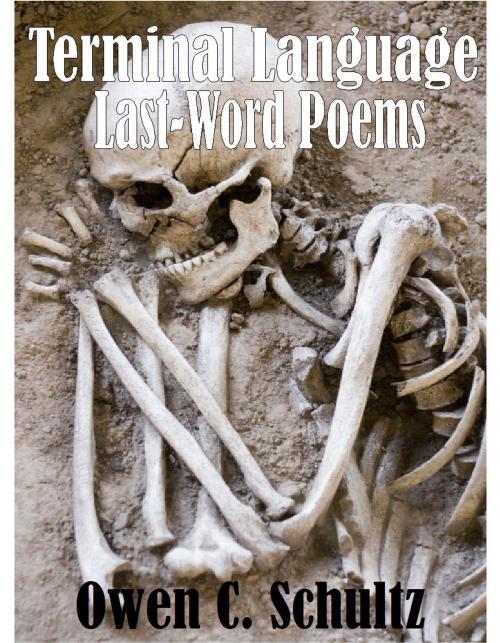 Cover of the book Terminal Language: Last-Word Poems by Owen Schultz, Owen Schultz