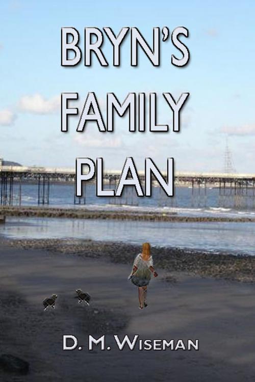 Cover of the book Bryn's Family Plan by DM Wiseman, DM Wiseman