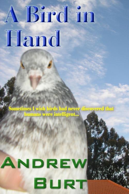 Cover of the book A Bird in Hand by Andrew Burt, Andrew Burt