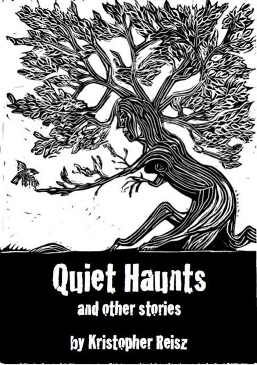Cover of the book Quiet Haunts and Other Stories by Kristopher Reisz, Kristopher Reisz
