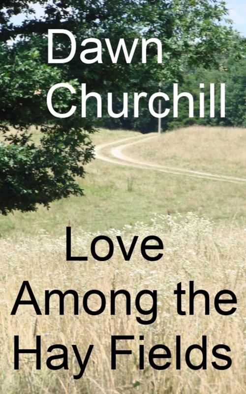 Cover of the book Love Among the Hay Fields by Dawn Churchill, Dawn Churchill