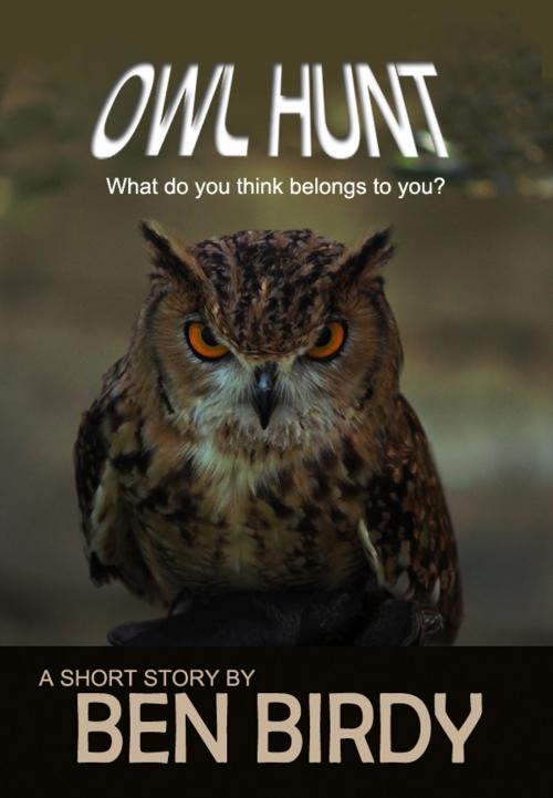 Cover of the book Owl Hunt by Ben Birdy, Fiero Publishing