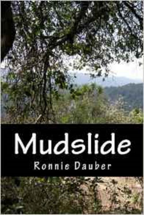 Cover of the book Mudslide by Ronnie Dauber, Ronnie Dauber