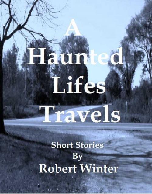 Cover of the book A Haunted Lifes Travels by Robert Winter, Robert Winter