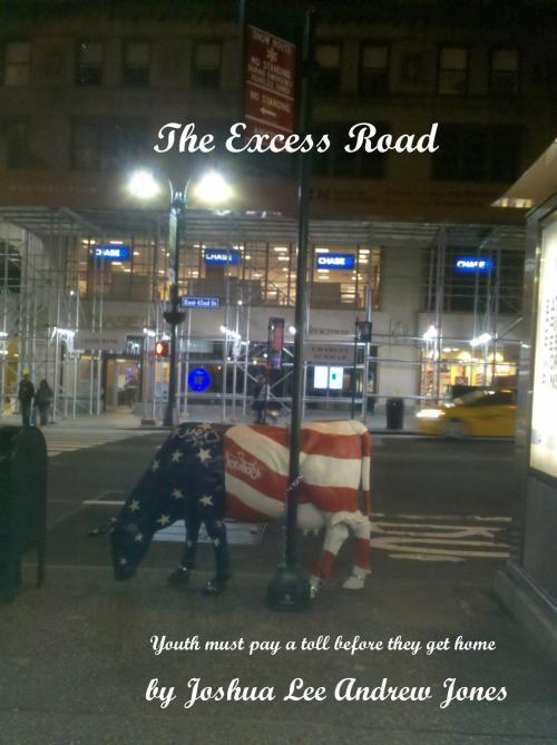 Cover of the book The Excess Road by Joshua Jones, Joshua Jones