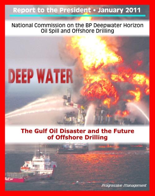 Cover of the book Deep Water: The Gulf Oil Disaster and the Future of Offshore Drilling - The Report of the National Commission on the BP Deepwater Horizon Oil Spill and Offshore Drilling by Progressive Management, Progressive Management