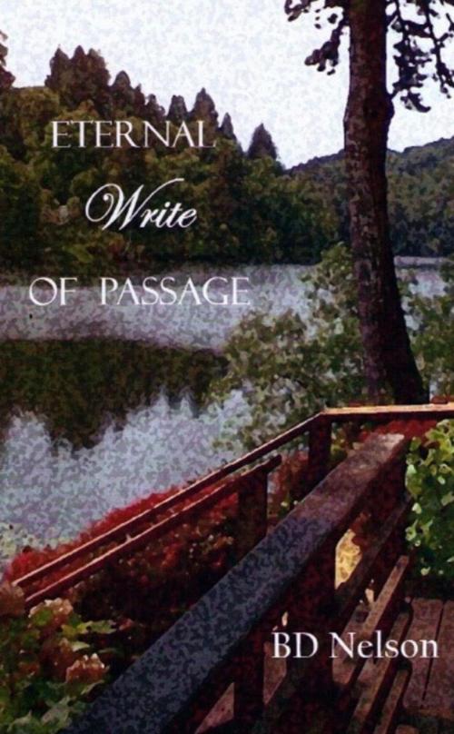 Cover of the book Eternal Write of Passage by BD Nelson, BD Nelson