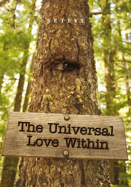 Cover of the book The Universal Love Within by Seteye, Xlibris US