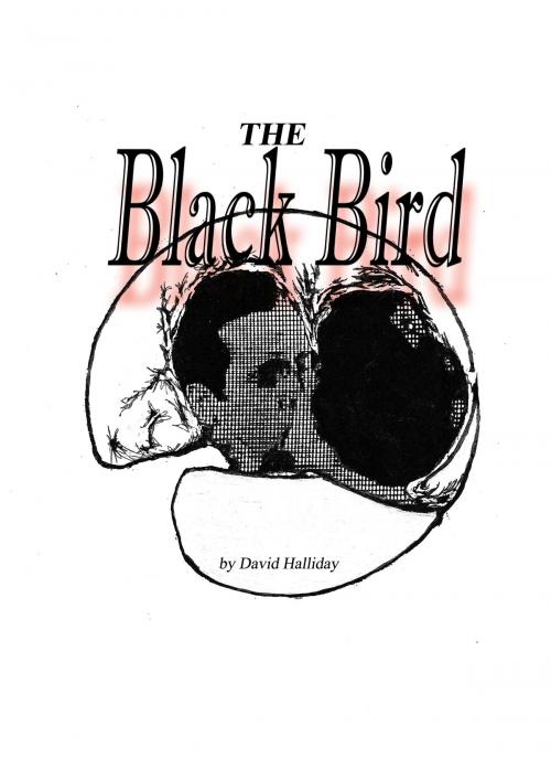 Cover of the book The Black Bird by David Halliday, David Halliday