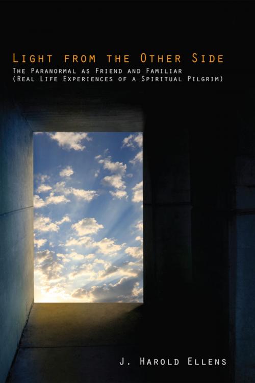 Cover of the book Light from the Other Side by J. Harold Ellens, F. Morgan Roberts, Wipf and Stock Publishers