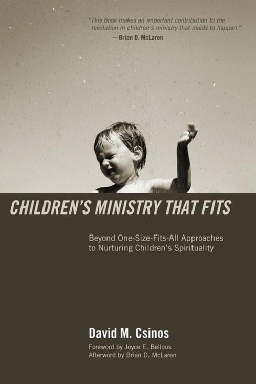 Cover of the book Children’s Ministry That Fits by David M. Csinos, Wipf and Stock Publishers