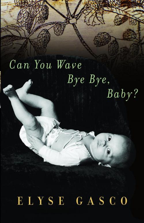 Cover of the book Can You Wave Bye Bye, Baby? by Elyse Gasco, McClelland & Stewart