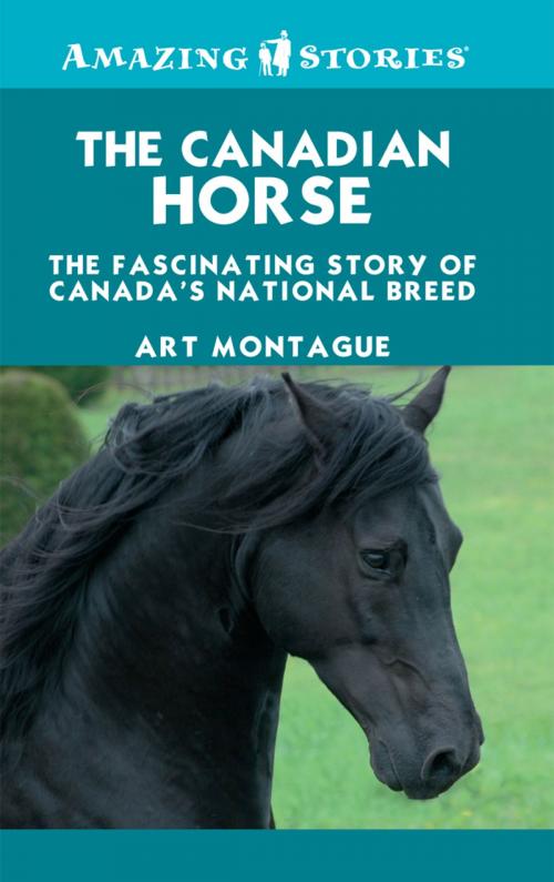 Cover of the book The Canadian Horse by Art Montague, James Lorimer & Company Ltd., Publishers