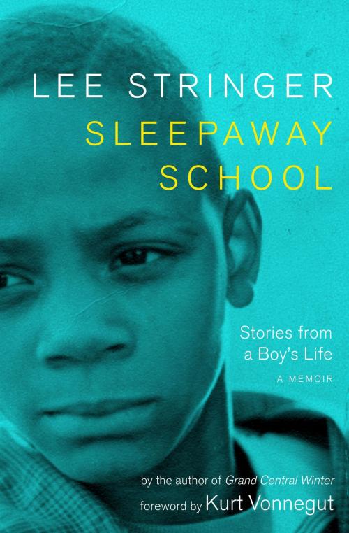 Cover of the book Sleepaway School by Lee Stringer, Seven Stories Press