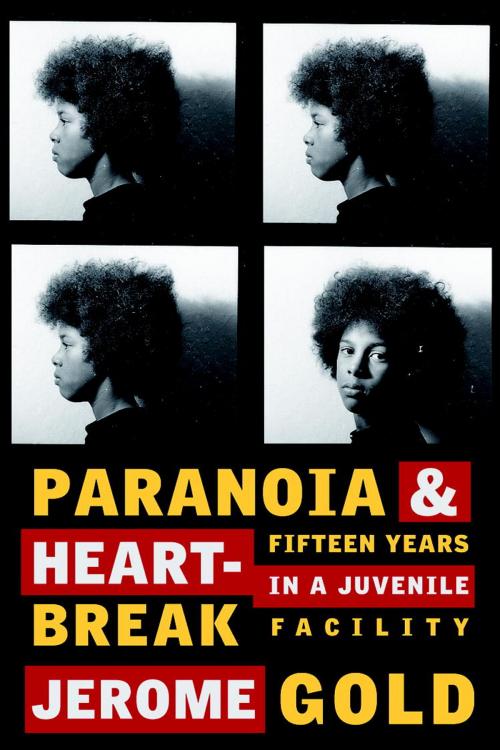 Cover of the book Paranoia & Heartbreak by Jerome Gold, Seven Stories Press