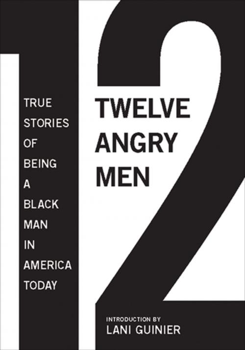 Cover of the book 12 Angry Men by Gregory S. Parks, Matthew W. Hughey, The New Press