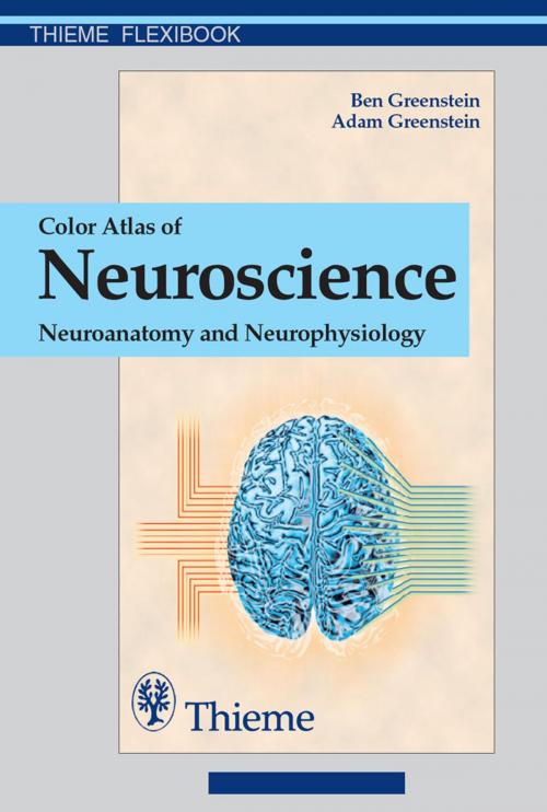 Cover of the book Color Atlas of Neuroscience by Ben Greenstein, Adam Greenstein, Thieme
