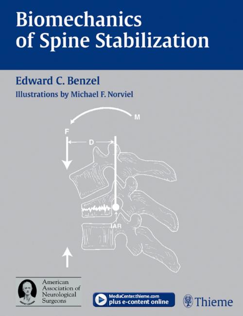 Cover of the book Biomechanics of Spine Stabilization by , Thieme