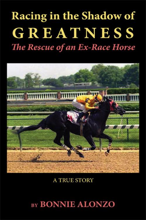 Cover of the book Racing in the Shadow of Greatness: The Rescue of an Ex-Racehorse by Bonnie Alonzo, Bonnie Alonzo