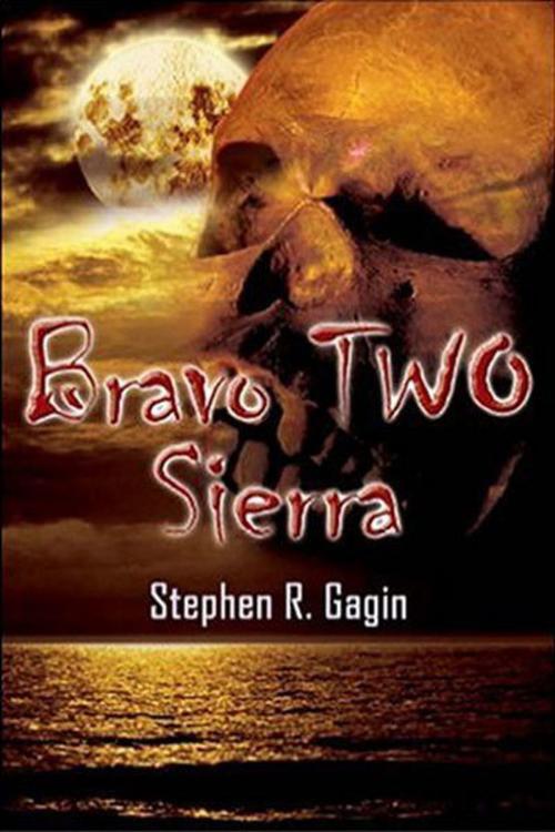 Cover of the book Bravo TWO Sierra by Stephen R. Gagin, Fideli Publishing