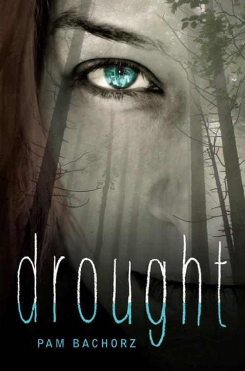 Cover of the book Drought by Pam Bachorz, Lerner Publishing Group