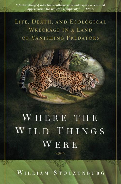 Cover of the book Where the Wild Things Were by William Stolzenburg, Bloomsbury Publishing