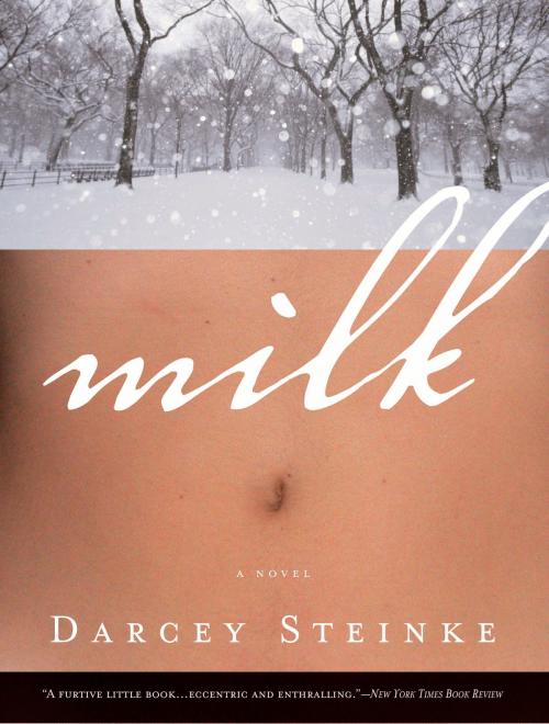 Cover of the book Milk by Darcey Steinke, Bloomsbury Publishing
