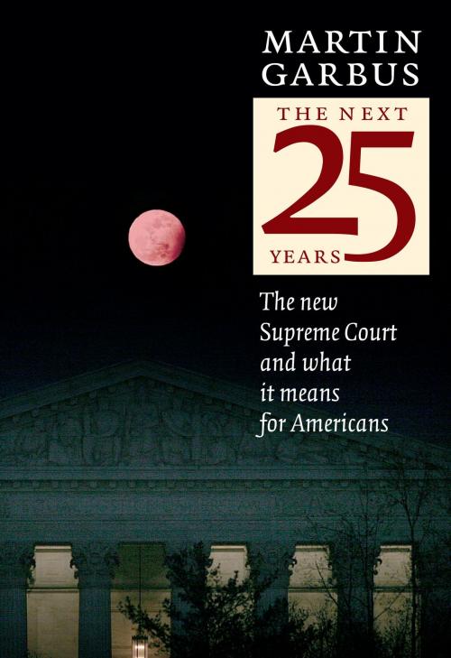 Cover of the book The Next 25 Years by Martin Garbus, Seven Stories Press