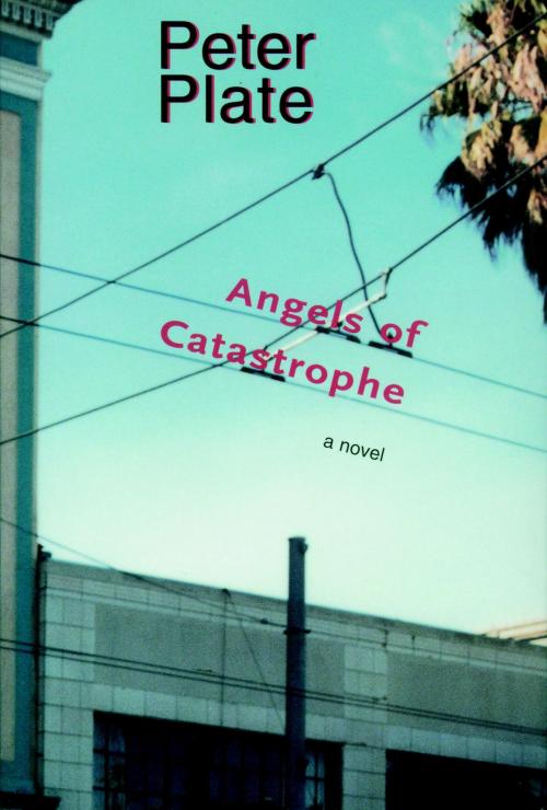Cover of the book Angels of Catastrophe by Peter Plate, Seven Stories Press