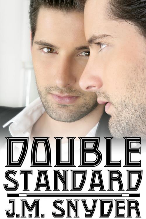 Cover of the book Double Standard by J.M. Snyder, JMS Books LLC