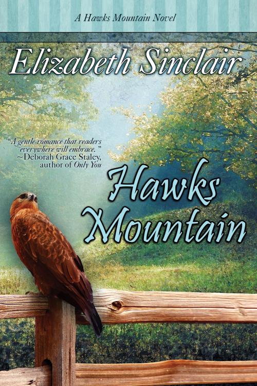 Cover of the book Hawks Mountain by Elizabeth Sinclair, BelleBooks, Inc.