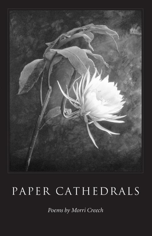 Cover of the book Paper Cathedrals by Morri Creech, The Kent State University Press