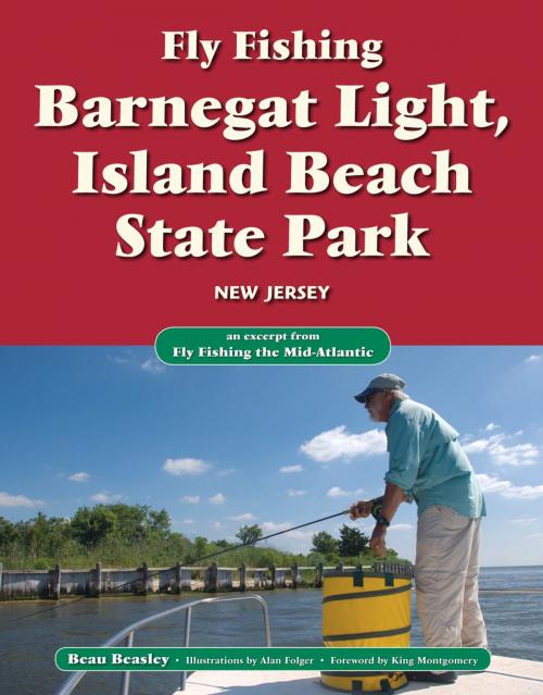 Cover of the book Fly Fishing Barnegat Light, Island Beach State Park, New Jersey by Beau Beasley, No Nonsense Fly Fishing Guidebooks