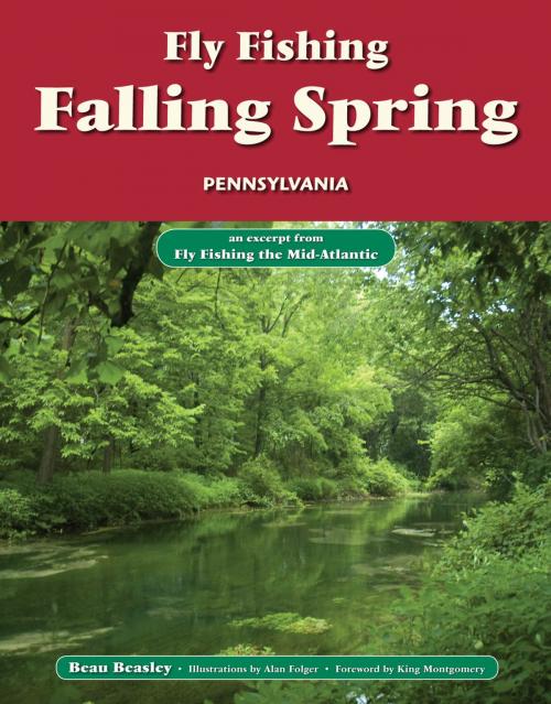 Cover of the book Fly Fishing Falling Spring, Pennsylvania by Beau Beasley, No Nonsense Fly Fishing Guidebooks