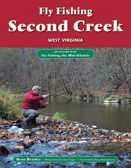 Cover of the book Fly Fishing the Second Creek, West Virginia by Beau Beasley, No Nonsense Fly Fishing Guidebooks
