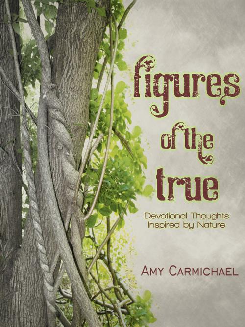 Cover of the book Figures of the True by Amy Carmichael, CLC Publications