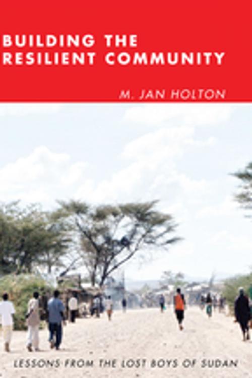 Cover of the book Building the Resilient Community by M. Jan Holton, Wipf and Stock Publishers