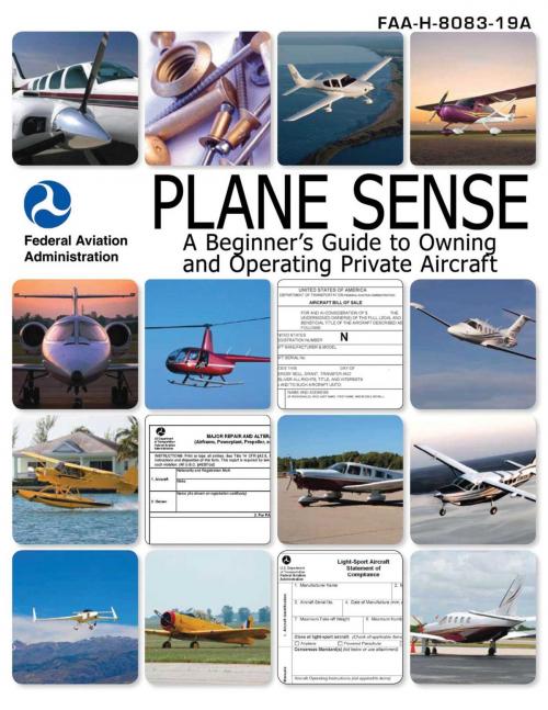 Cover of the book Plane Sense by Nightingale Bamford School, Skyhorse
