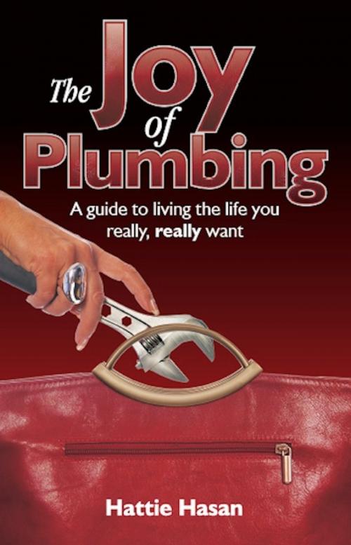 Cover of the book The Joy of Plumbing: A Guide to Living the Life You Really, Really Want by Hattie Hasan, Panoma Press