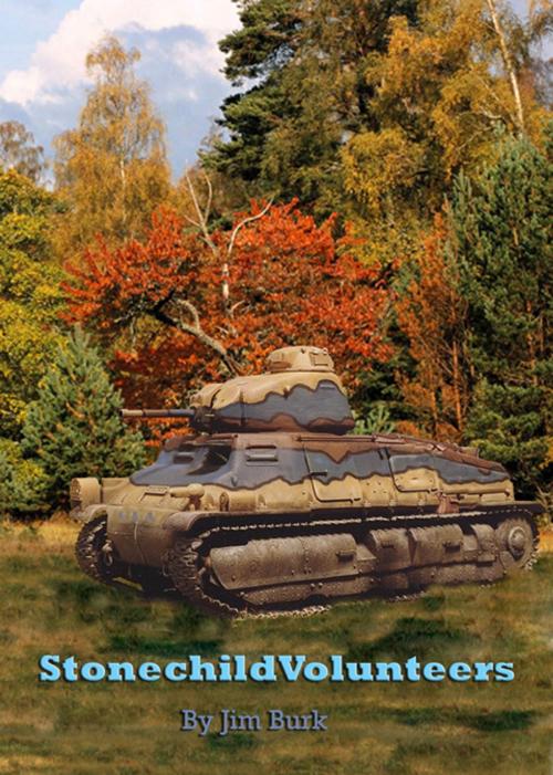 Cover of the book Stonechild Volunteers by Jim Burk, Jim Burk