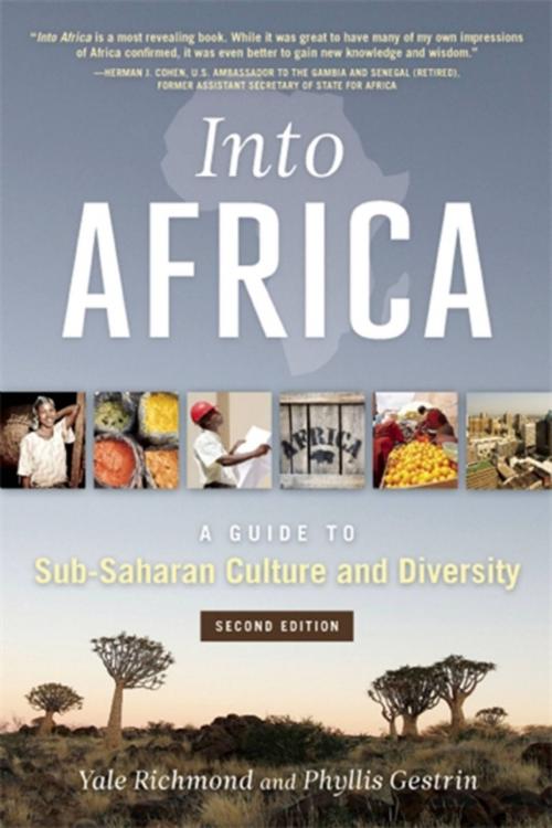 Cover of the book Into Africa by Yale Richmond, Quercus