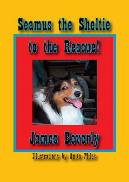 Cover of the book Seamus the Sheltie to the Rescue! by James Beverly, Nightengale Media LLC