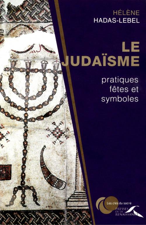 Cover of the book judaïsme : pratiques, fêtes et symboles by Hélène HADAS-LEBEL, Place des éditeurs
