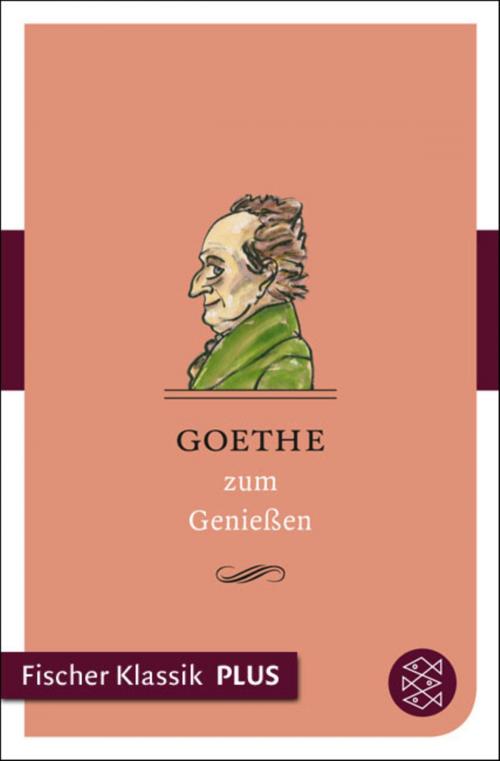 Cover of the book Goethe zum Genießen by , FISCHER E-Books