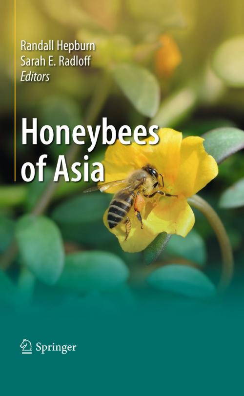 Cover of the book Honeybees of Asia by , Springer Berlin Heidelberg