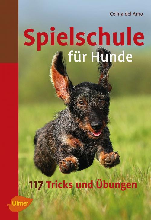Cover of the book Spielschule für Hunde by Ines Celina del Amo, Verlag Eugen Ulmer