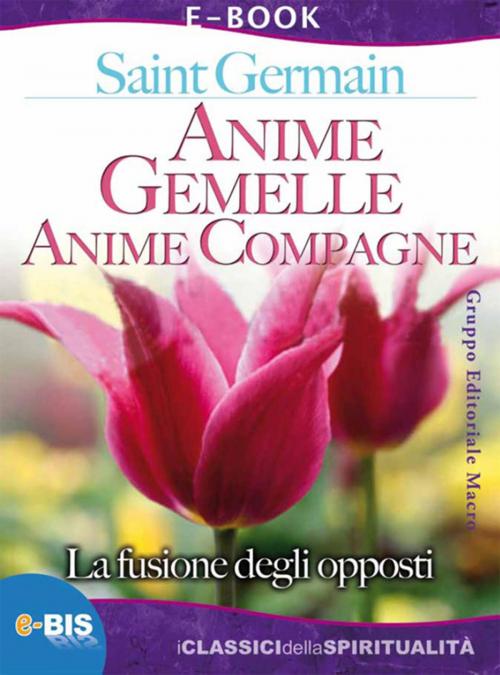 Cover of the book Anime gemelle, anime compagne by Saint Germain, Bis Edizioni